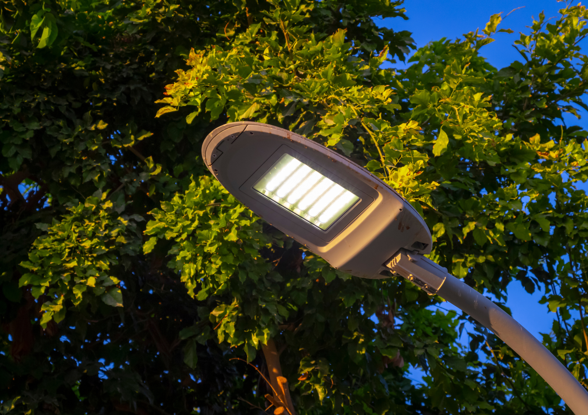 Imatge pels mitjans: Canvi a il·luminació LED